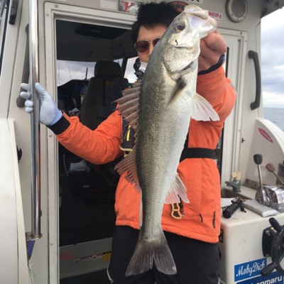 シーモンキー 釣果