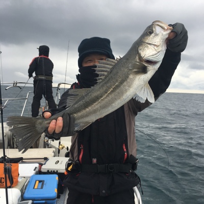 シーモンキー 釣果