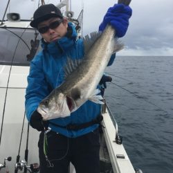 シーモンキー 釣果