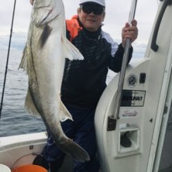 シーモンキー 釣果