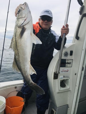 シーモンキー 釣果