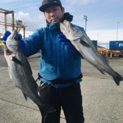 シーモンキー 釣果