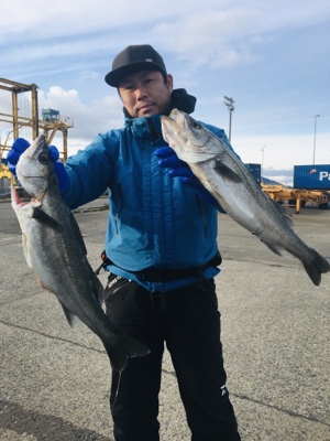 シーモンキー 釣果