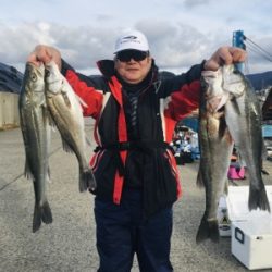 シーモンキー 釣果