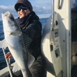 シーモンキー 釣果