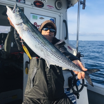 シーモンキー 釣果