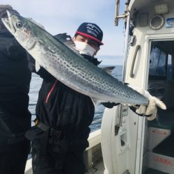 シーモンキー 釣果