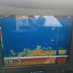 シーモンキー 釣果