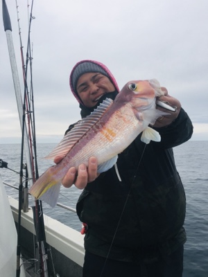 シーモンキー 釣果