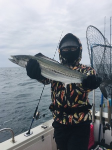 シーモンキー 釣果