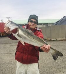 シーモンキー 釣果