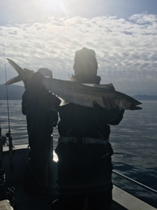 シーモンキー 釣果