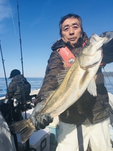 シーモンキー 釣果