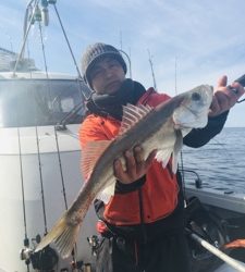 シーモンキー 釣果