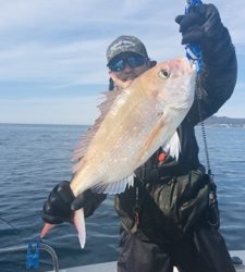 シーモンキー 釣果