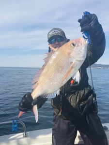 シーモンキー 釣果