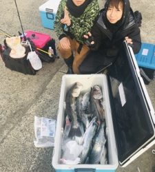 シーモンキー 釣果