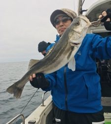 シーモンキー 釣果