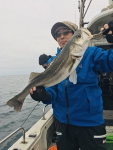 シーモンキー 釣果