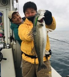 シーモンキー 釣果