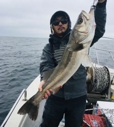 シーモンキー 釣果