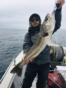 シーモンキー 釣果