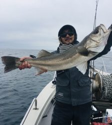 シーモンキー 釣果