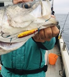 シーモンキー 釣果