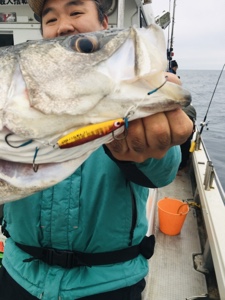 シーモンキー 釣果