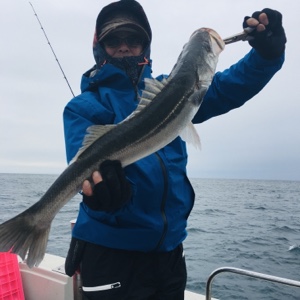 シーモンキー 釣果