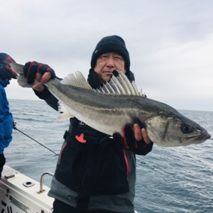 シーモンキー 釣果