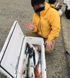 シーモンキー 釣果