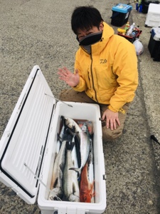 シーモンキー 釣果