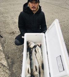 シーモンキー 釣果