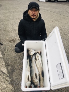 シーモンキー 釣果