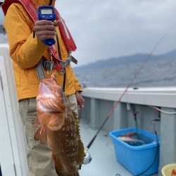 リトルワン 釣果