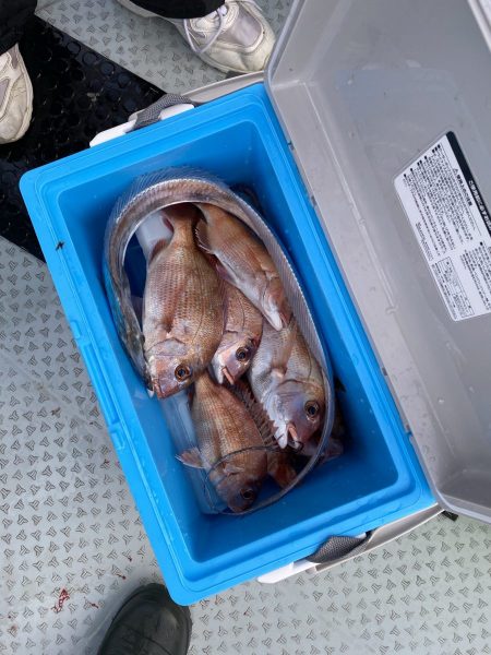 リトルワン 釣果