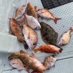 リトルワン 釣果