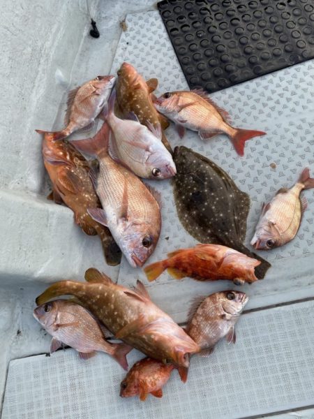 リトルワン 釣果