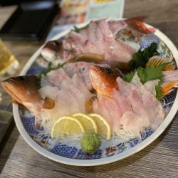 リトルワン 釣果