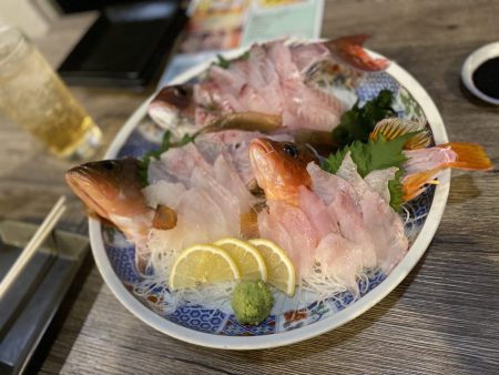 リトルワン 釣果