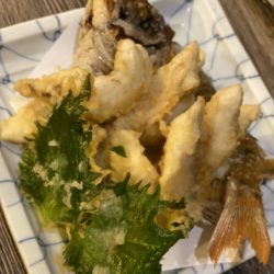 リトルワン 釣果