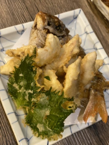 リトルワン 釣果