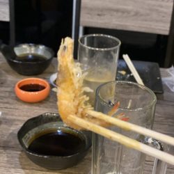 リトルワン 釣果