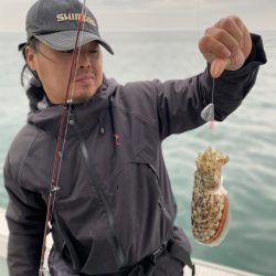 リトルワン 釣果