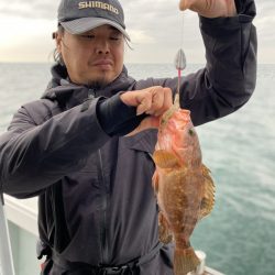 リトルワン 釣果