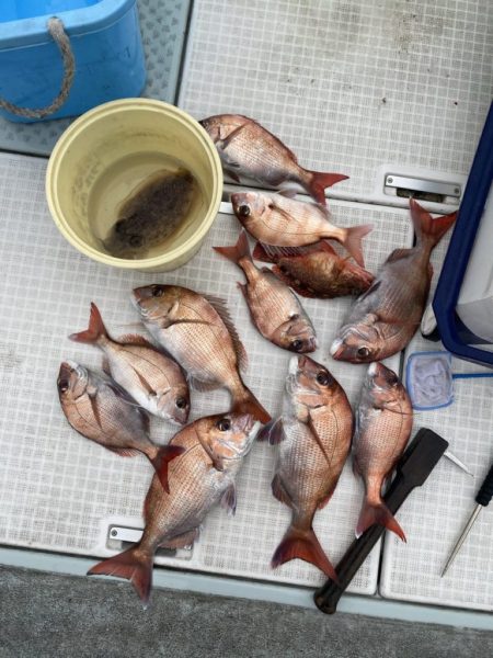 リトルワン 釣果