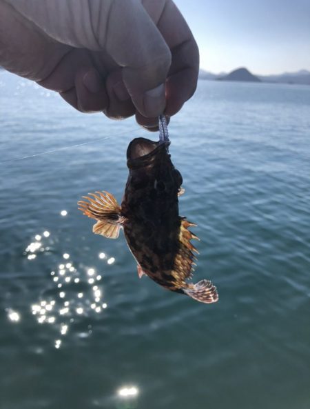 アジング・ボートアジングレポート【がまかつ LUXXE宵姫　インプレッション】