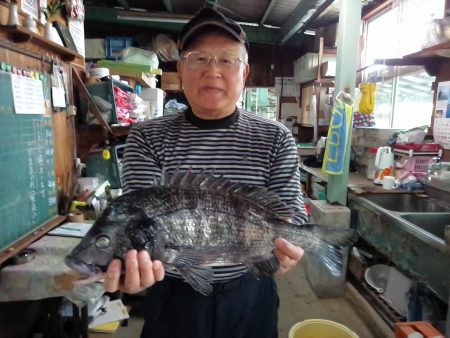 ふじや釣舟店 釣果