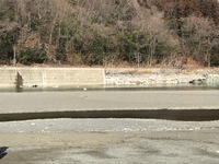 秩父フライフィールド 釣果